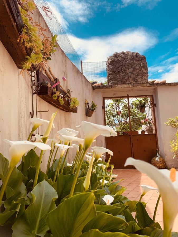 Casa Al Capitello Daire Malcesine Dış mekan fotoğraf